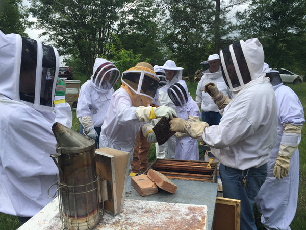 2023 Beginner Beekeeping Class